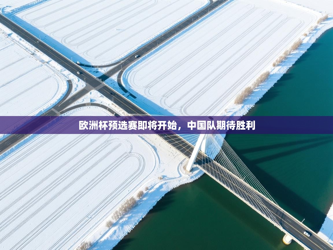 欧洲杯预选赛即将开始，中国队期待胜利  第1张