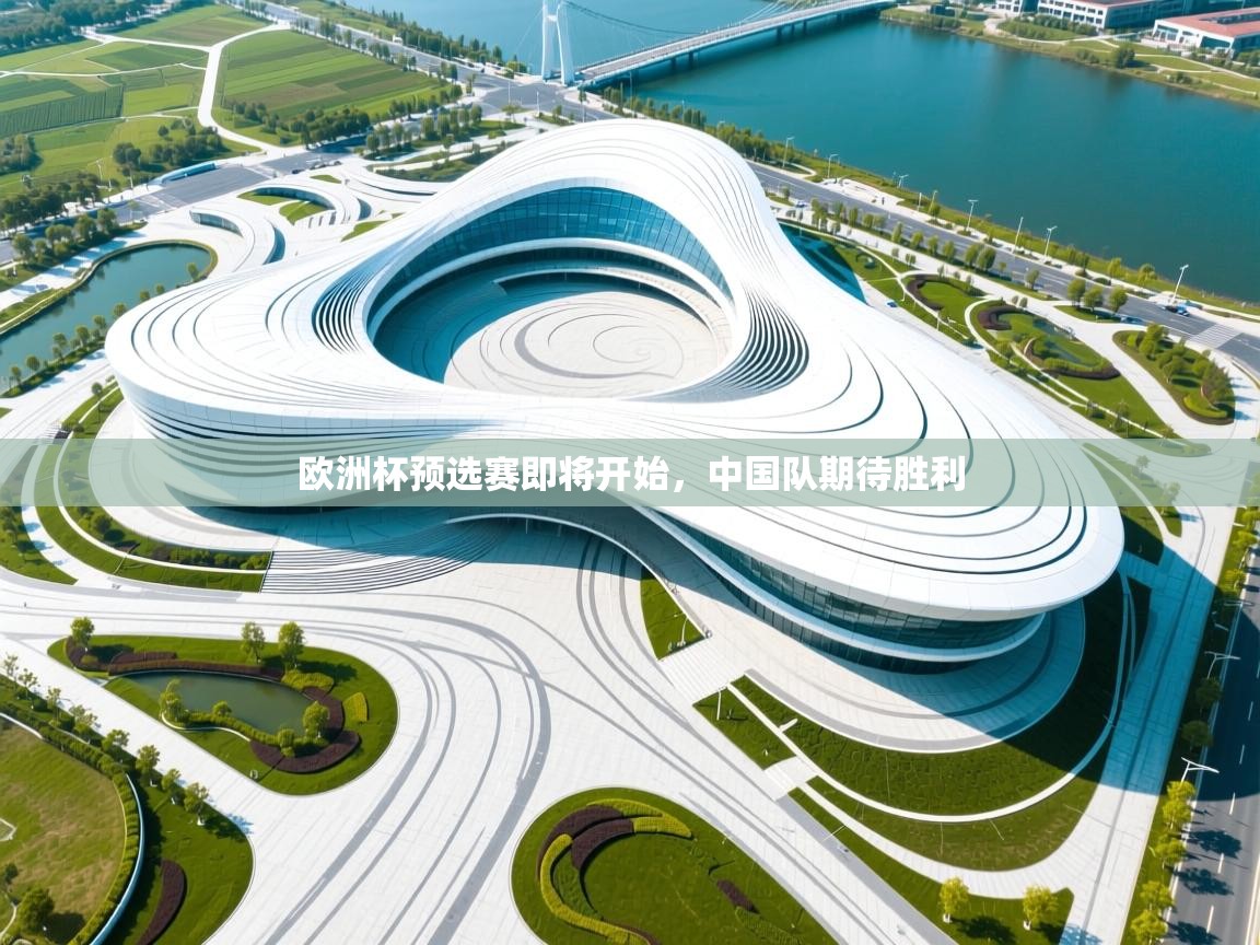 欧洲杯预选赛即将开始，中国队期待胜利  第2张