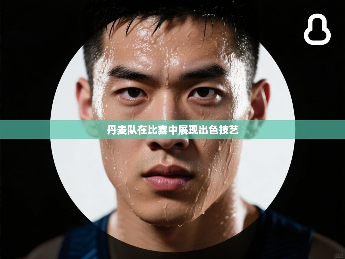 丹麦队在比赛中展现出色技艺  第1张